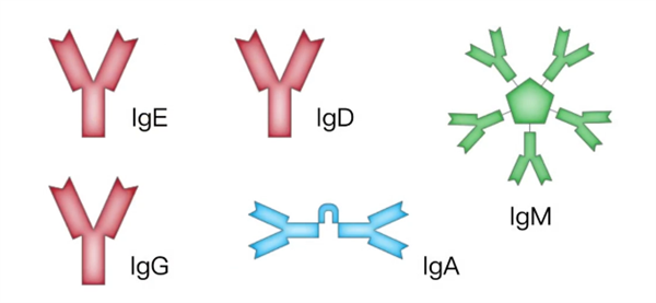居然有人對冷過敏：這畫面美得不敢看