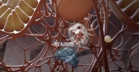 居然有人對冷過敏：這畫面美得不敢看